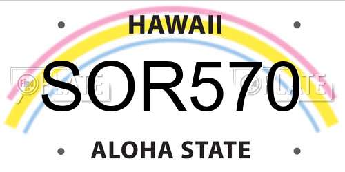 SOR570 Hawaii License Plate