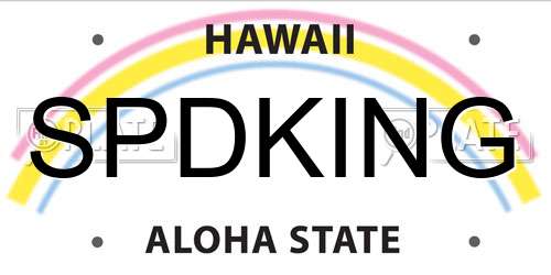 SPDKING Hawaii License Plate