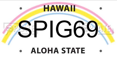 SPIG69 Hawaii License Plate