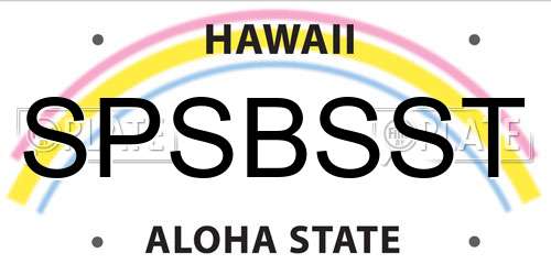 SPSBSST Hawaii License Plate