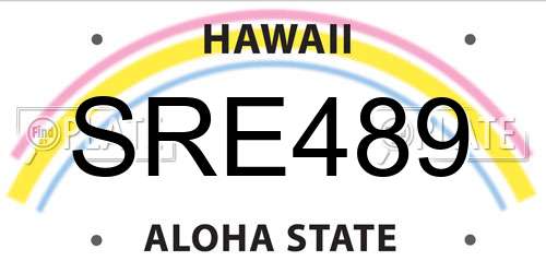 SRE489 Hawaii License Plate