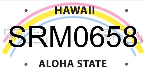 SRM0658 Hawaii License Plate