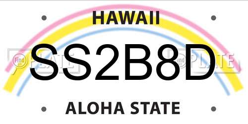 SS2B8D Hawaii License Plate
