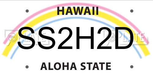 SS2H2D Hawaii License Plate