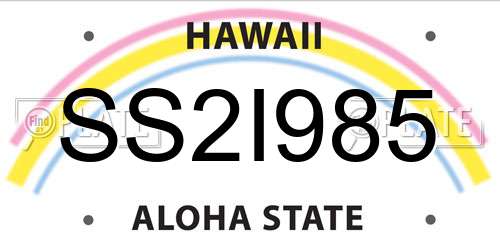 SS2I985 Hawaii License Plate