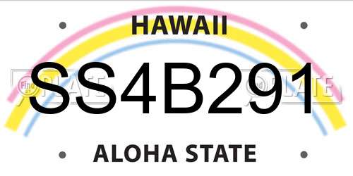 SS4B291 Hawaii License Plate