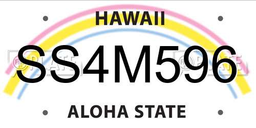 SS4M596 Hawaii License Plate