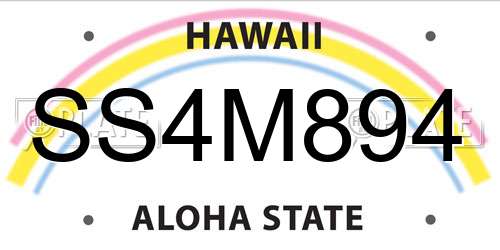 SS4M894 Hawaii License Plate