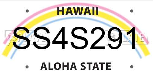 SS4S291 Hawaii License Plate