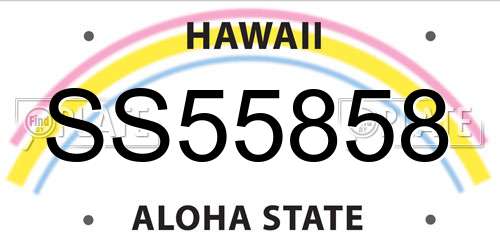 SS55858 Hawaii License Plate