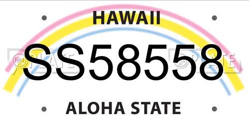 SS58558 Hawaii License Plate