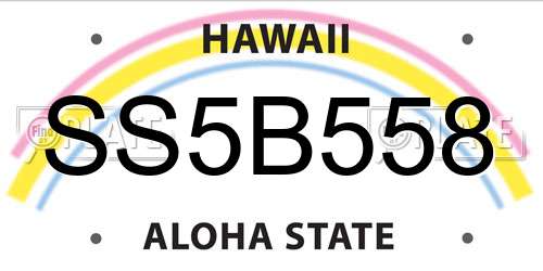 SS5B558 Hawaii License Plate