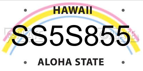 SS5S855 Hawaii License Plate