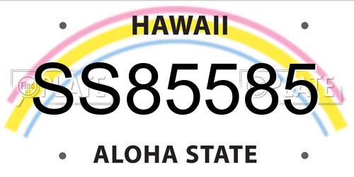 SS85585 Hawaii License Plate