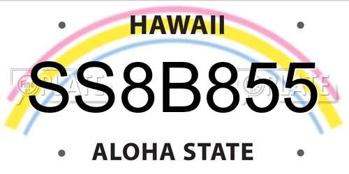 SS8B855 Hawaii License Plate