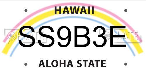 SS9B3E Hawaii License Plate
