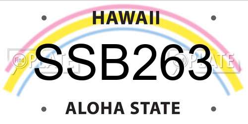SSB263 Hawaii License Plate