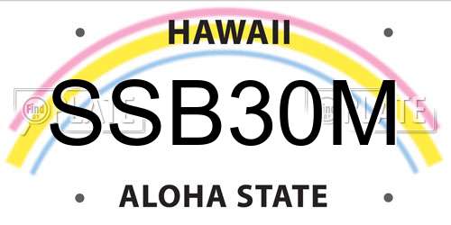SSB30M Hawaii License Plate