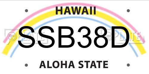 SSB38D Hawaii License Plate