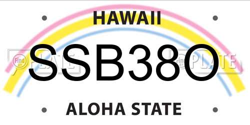 SSB38O Hawaii License Plate