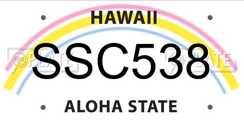 SSC538 Hawaii License Plate