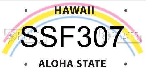 SSF307 Hawaii License Plate