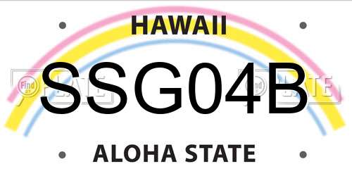 SSG04B Hawaii License Plate