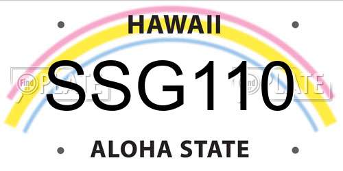 SSG110 Hawaii License Plate