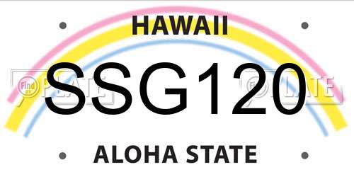 SSG120 Hawaii License Plate
