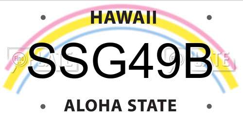 SSG49B Hawaii License Plate