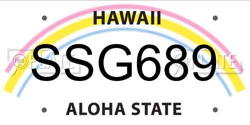 SSG689 Hawaii License Plate