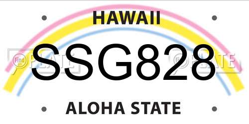SSG828 Hawaii License Plate