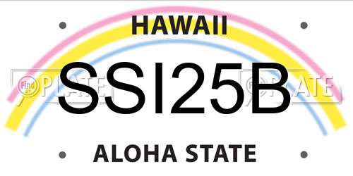 SSI25B Hawaii License Plate