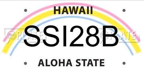 SSI28B Hawaii License Plate