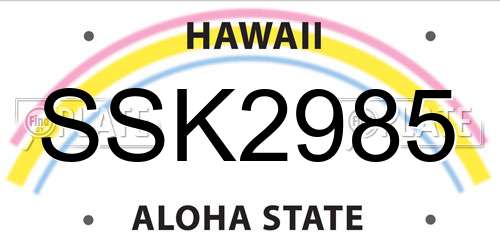 SSK2985 Hawaii License Plate