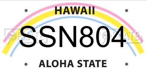 SSN804 Hawaii License Plate