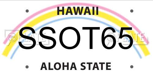 SSOT65 Hawaii License Plate