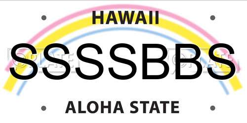 SSSSBBS Hawaii License Plate
