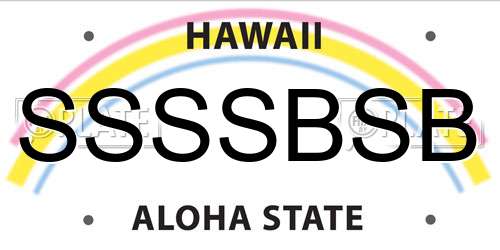 SSSSBSB Hawaii License Plate