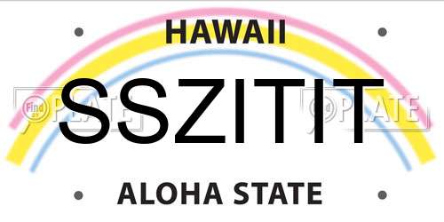 SSZITIT Hawaii License Plate