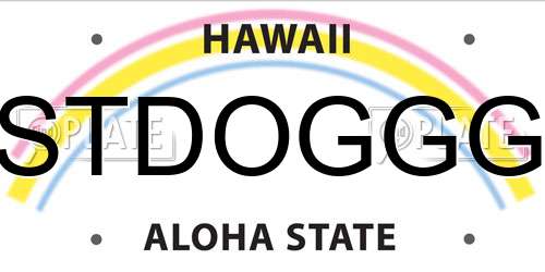 STDOGGG Hawaii License Plate