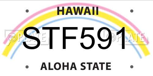 STF591 Hawaii License Plate