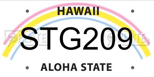 STG209 Hawaii License Plate