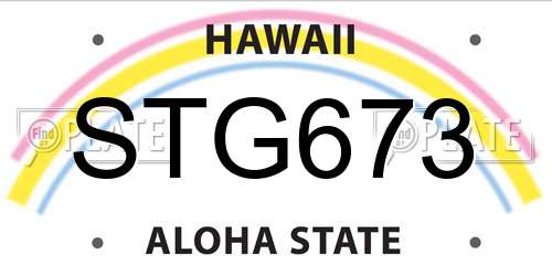 STG673 Hawaii License Plate