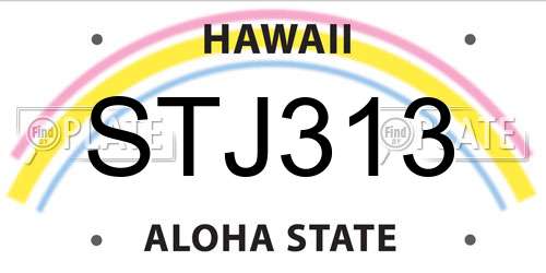 STJ313 Hawaii License Plate