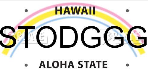 STODGGG Hawaii License Plate