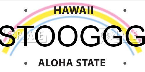 STOOGGG Hawaii License Plate