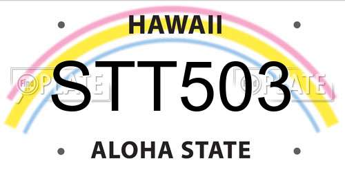STT503 Hawaii License Plate