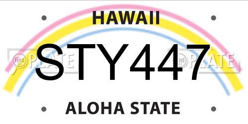 STY447 Hawaii License Plate