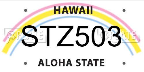 STZ503 Hawaii License Plate